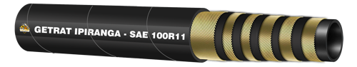 100 R11